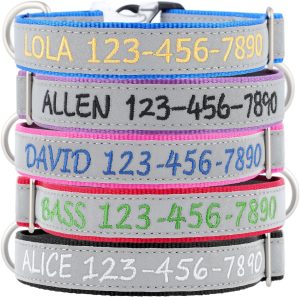 Dog Collars