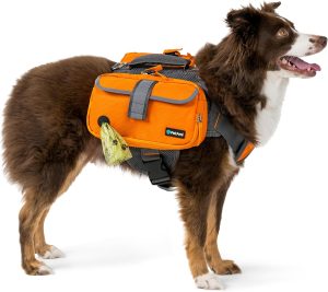 Dog Backpacks