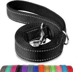 Dog Leashes