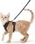 rabbitgoo Cat Harness and Leash Set, Escape Proof Vest Harness for Safe Outdoor Walks, Soft Breathable Adjustable Vest with Reflective Strips for Small and Average Cats, Black, S