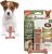 SPOT Bam-Bones Plus T Bone – Bamboo Fiber & Nylon Dog Chew Toy for Moderate to Aggressive Chewers, Durable & Non-Splintering, Long Lasting Beef Flavor Toy for Dogs & Puppies Under 30 lbs, 4 in