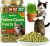 Just Try 36 OZ Cat Treats for Indoor Cats Hairball Control Natural Salmon Healthy Cat Grass Treats Kitten Snacks Training Biscuits Catnip for Cats Dental Care
