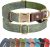 Didog Soft PU Leather Dog Collars for Small Dogs,Classic Adjustable Dog Collars with Quick Release Metal Buckle,Easy Clean and Comfortable with Nylon Lining,Green,S Neck 11-15″