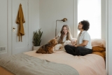 Daily Cleaning Tips for Homes With Cats and Dogs