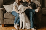 Simple Ways to Improve Your Pet’s Comfort at Home
